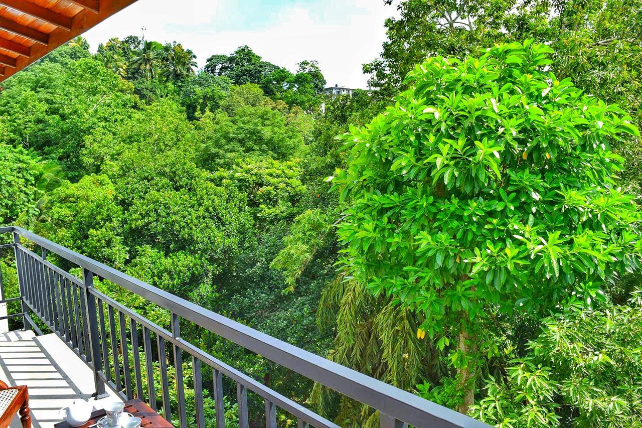La Colina Kandy Bagian luar foto